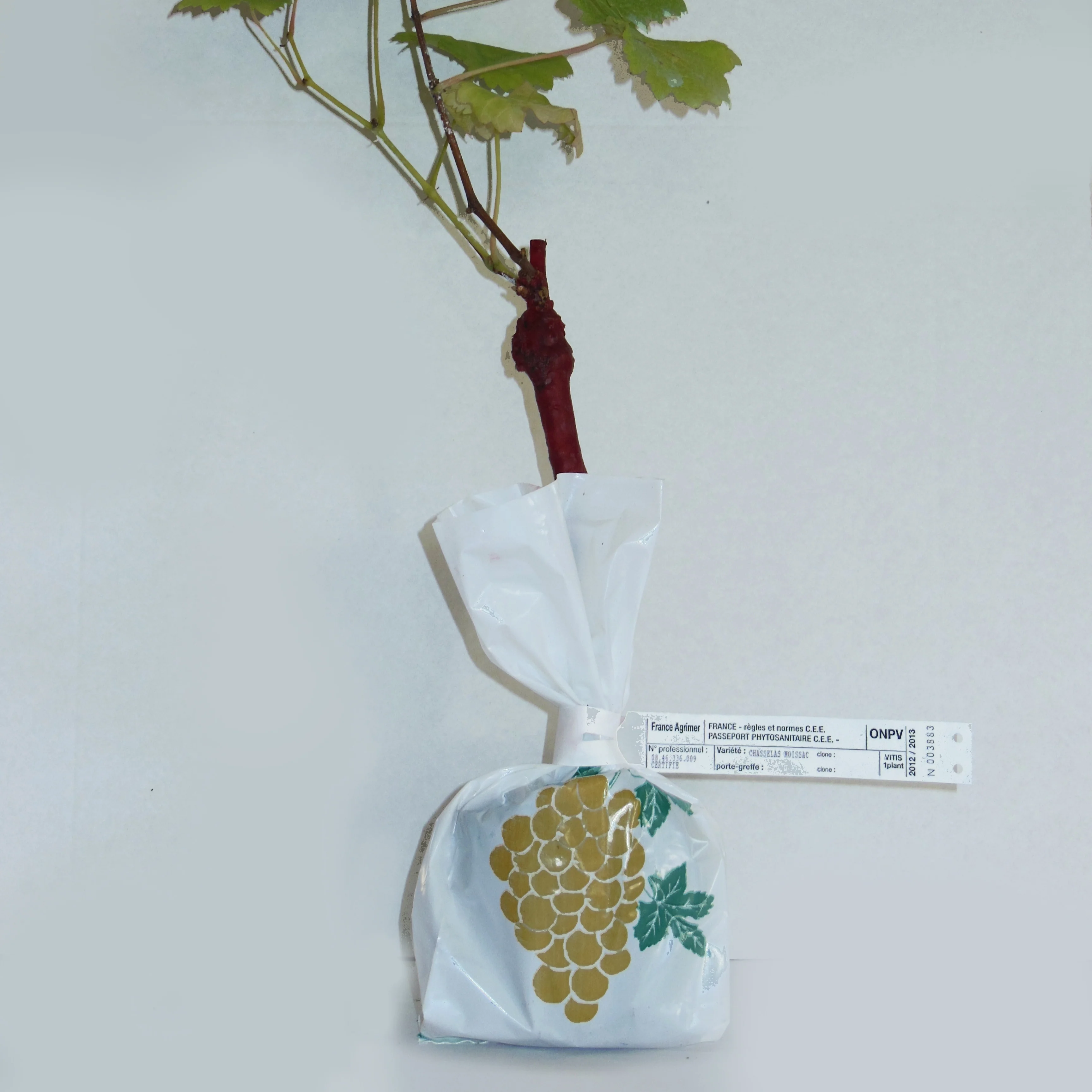 Miniature 2